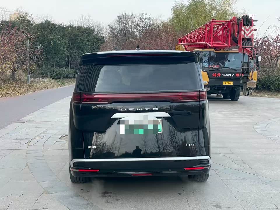 Denza D9