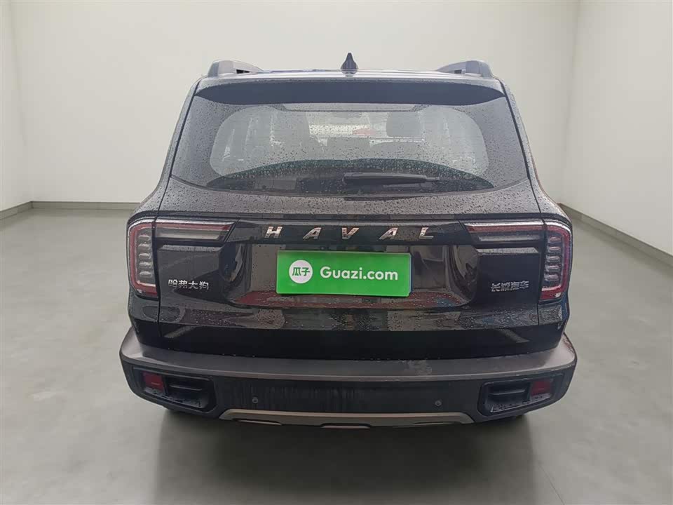 Haval Big dog
