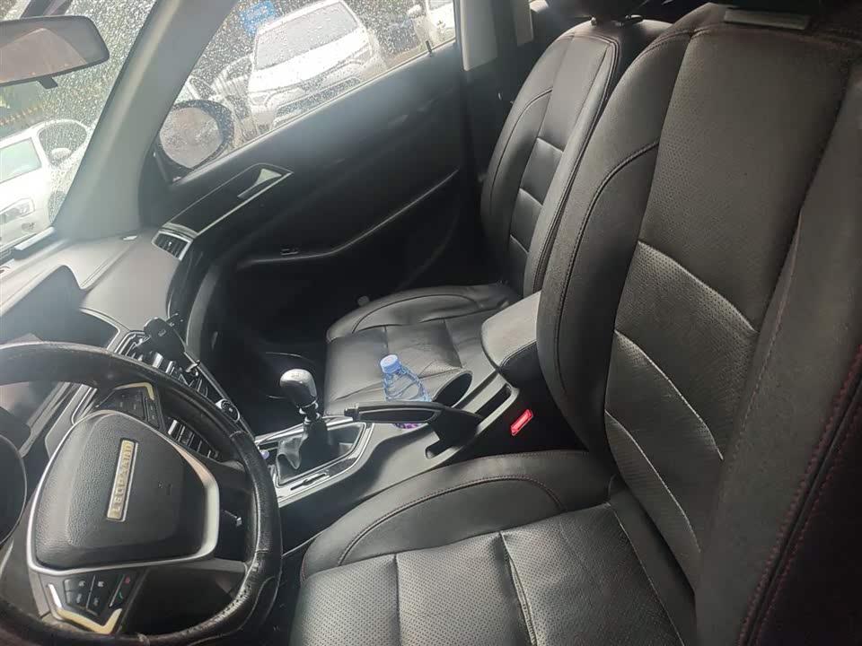 Leopaard Cheetah CS10