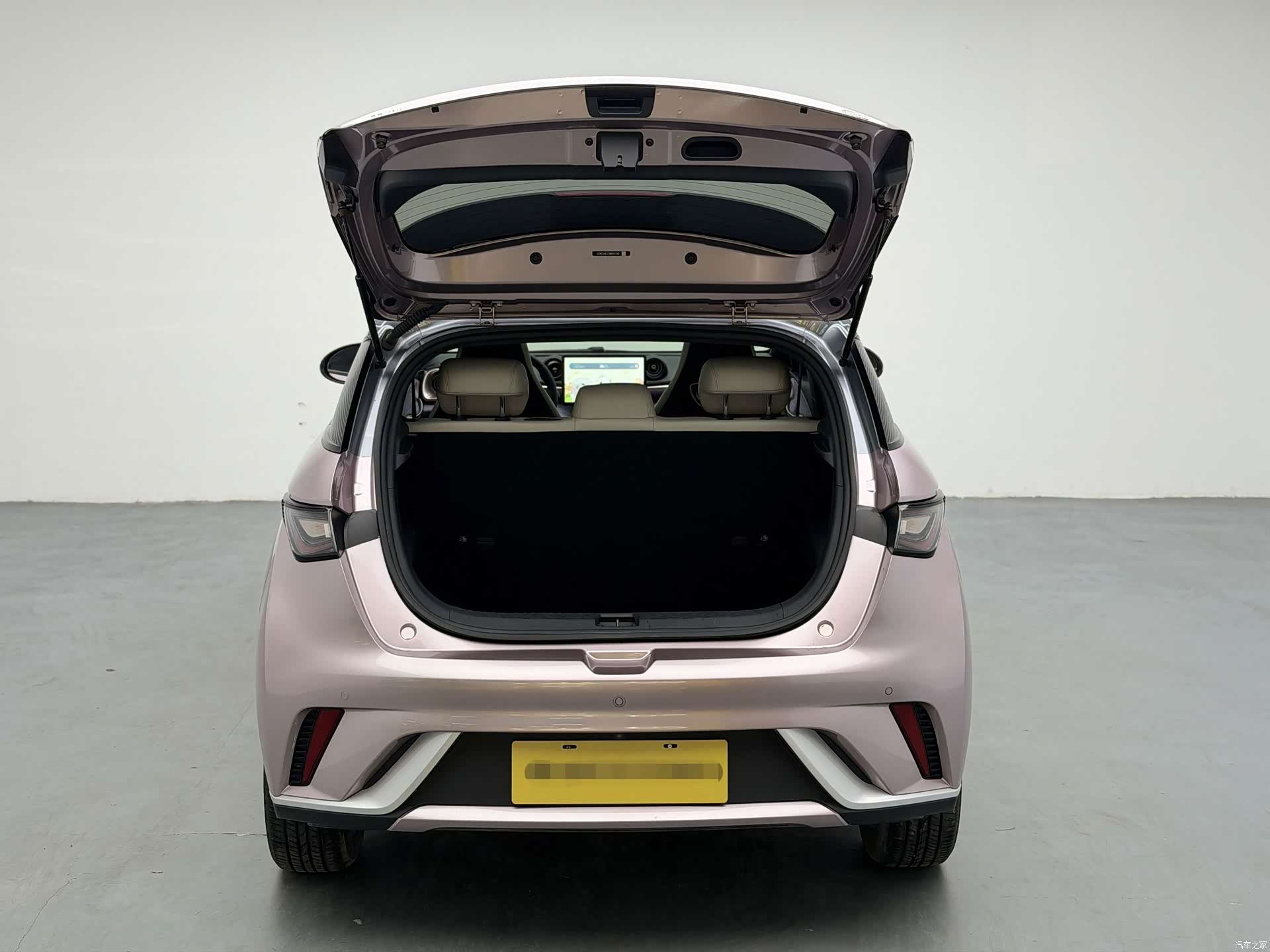 BYD Dolphin, 2022 7