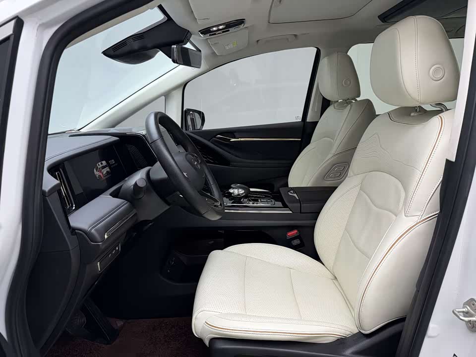 Trumpchi Trumpchi E9