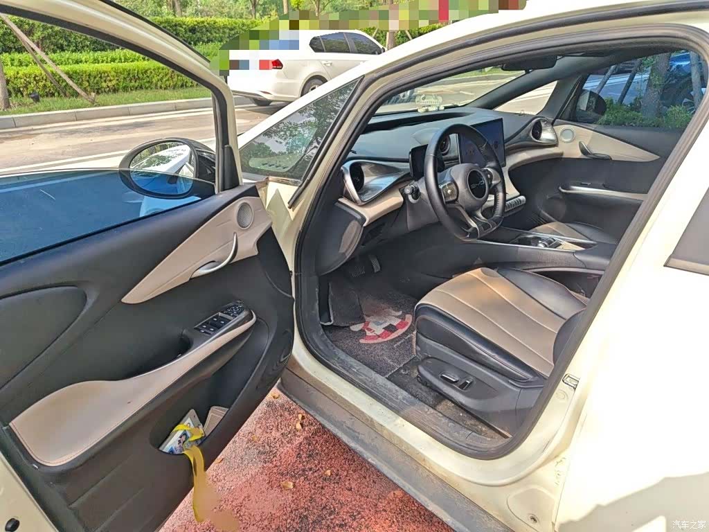 BYD Dolphin, 2024 14