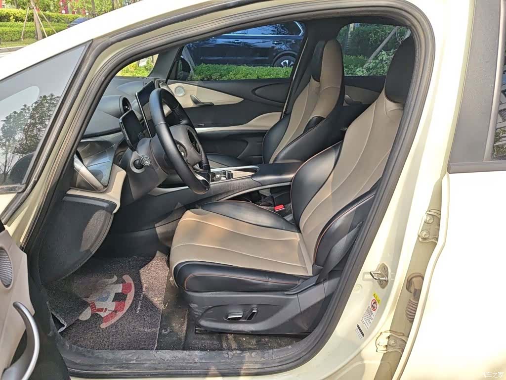 BYD Dolphin, 2024 8