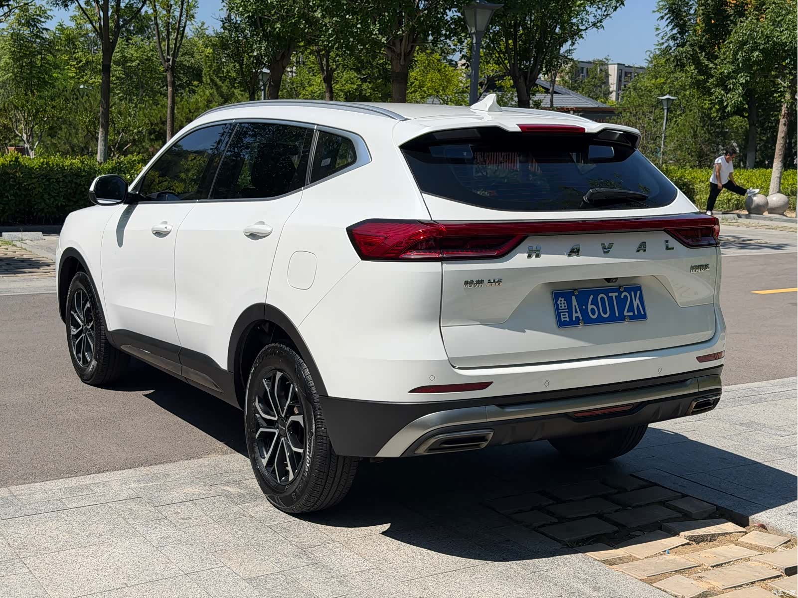 Haval H6, 2022 все фото