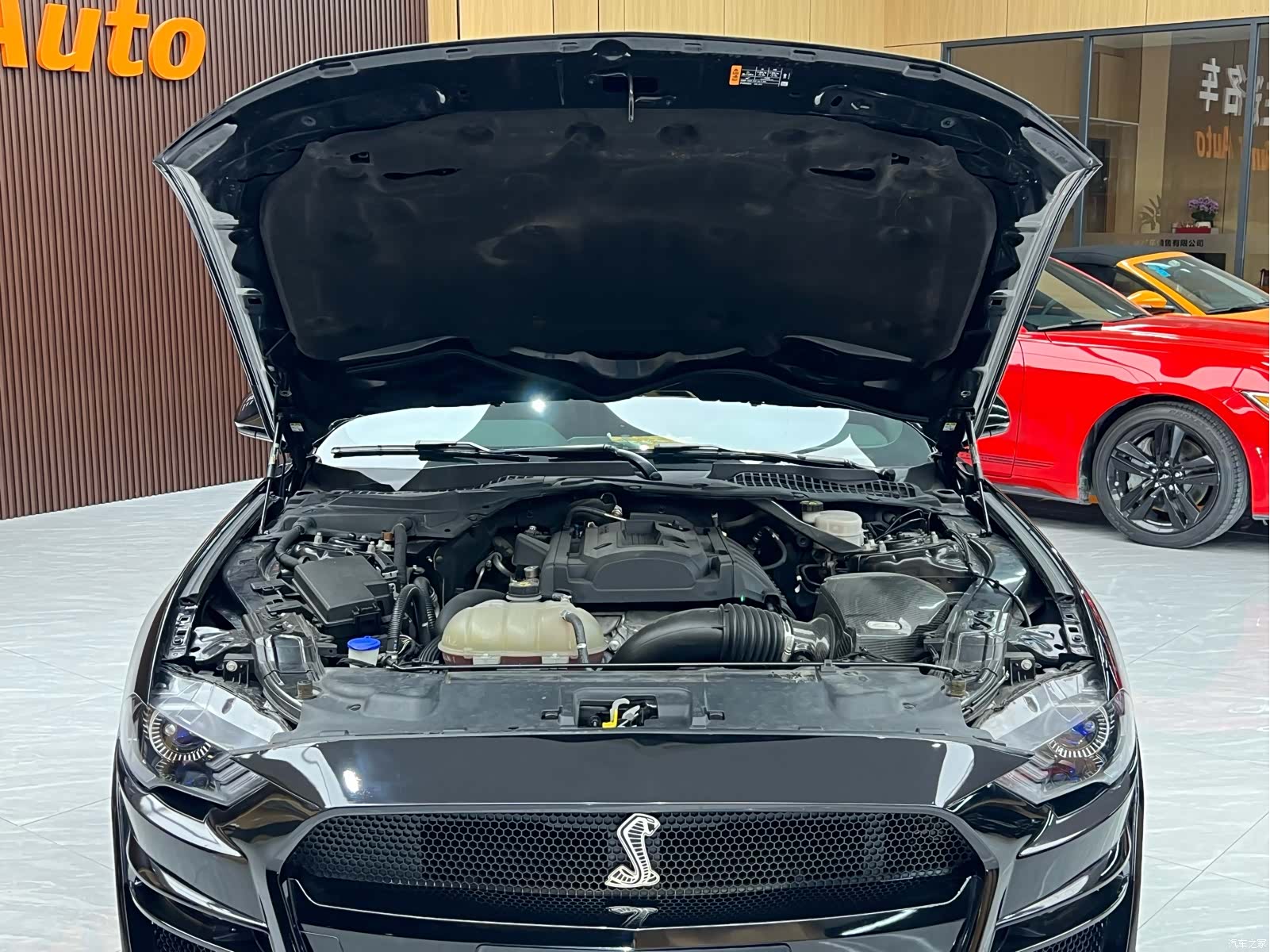 Ford Mustang, 2021 28