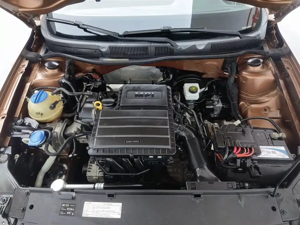 Volkswagen C-TREK Wei Collar