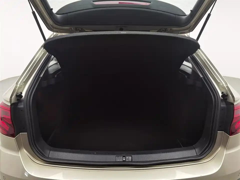 Volkswagen C-TREK Wei Collar