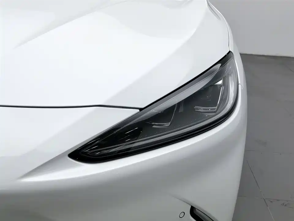 ARCFOX Polar Fox Alpha S