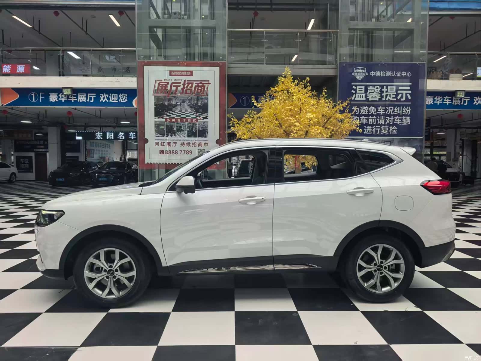 Haval H6, 2023 все фото