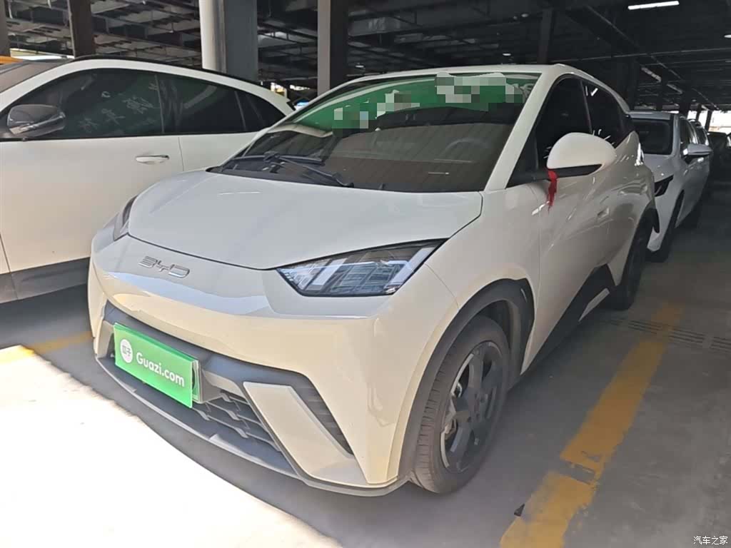 BYD Seagull, 2024 2