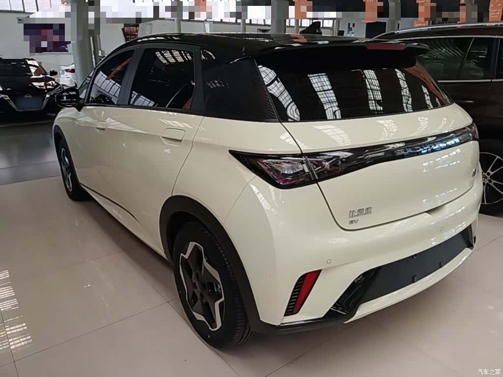 BYD Dolphin, 2023 23