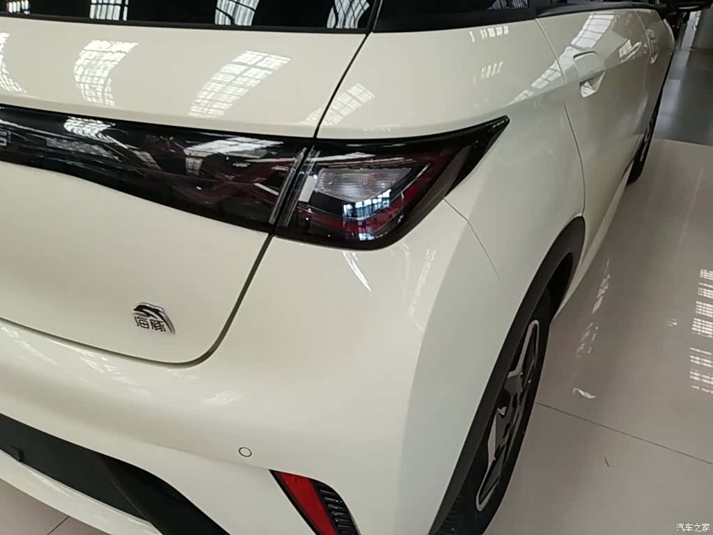 BYD Dolphin, 2023 24