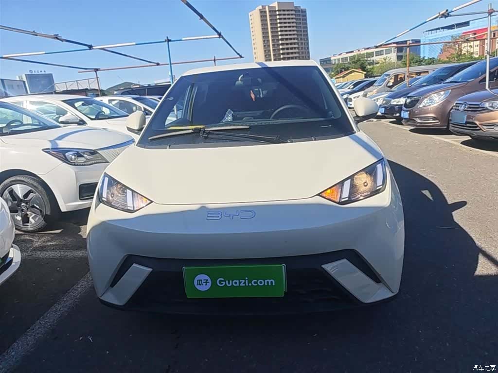 BYD Seagull, 2024 3