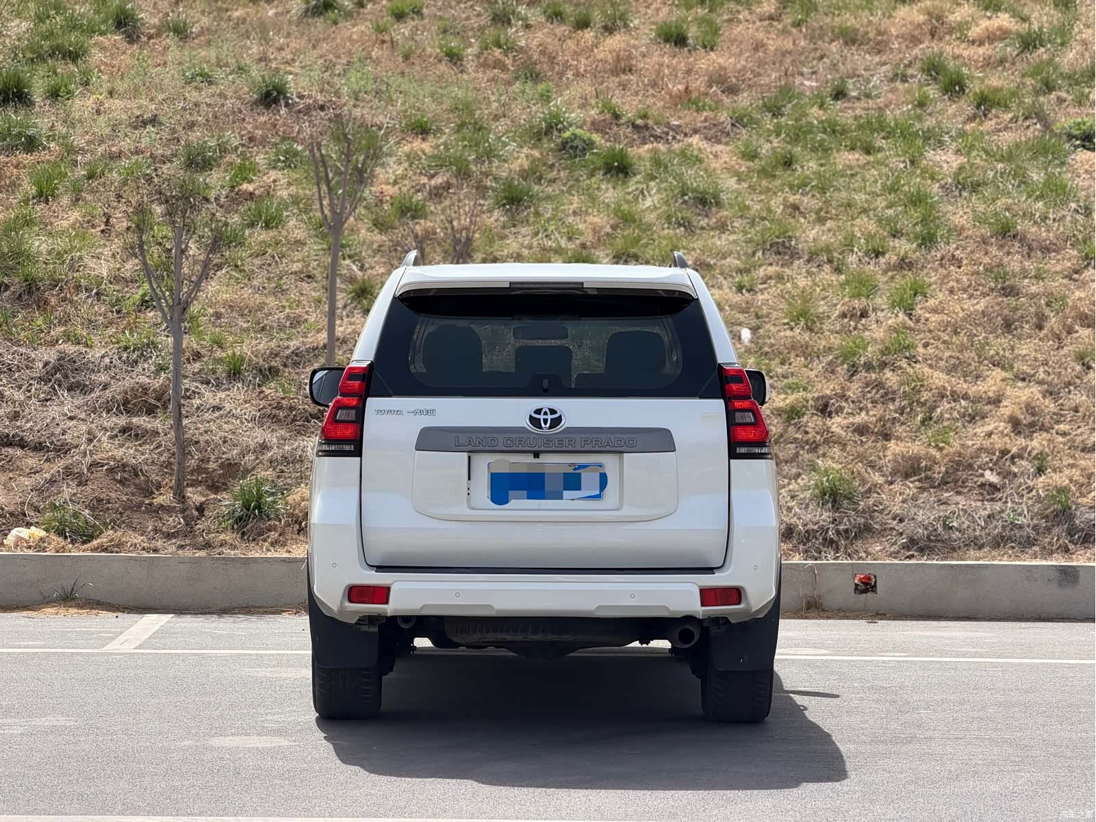Toyota Prado, 2020 11