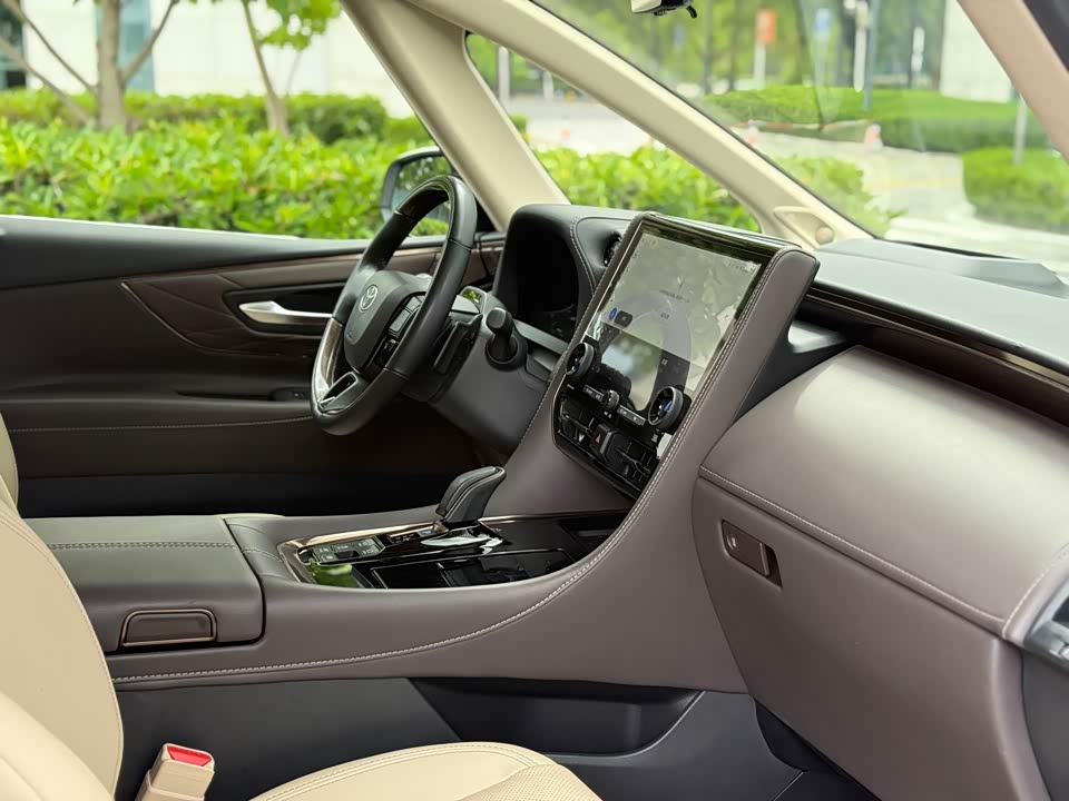 Toyota Elfa