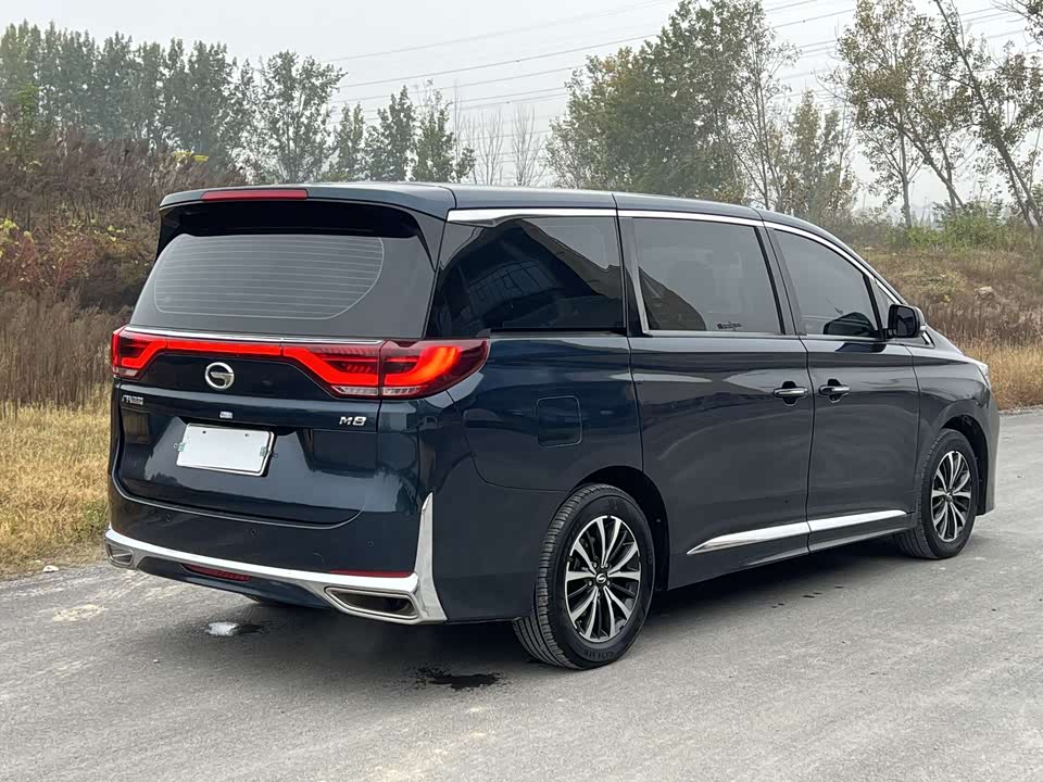Trumpchi Trumpchi M8