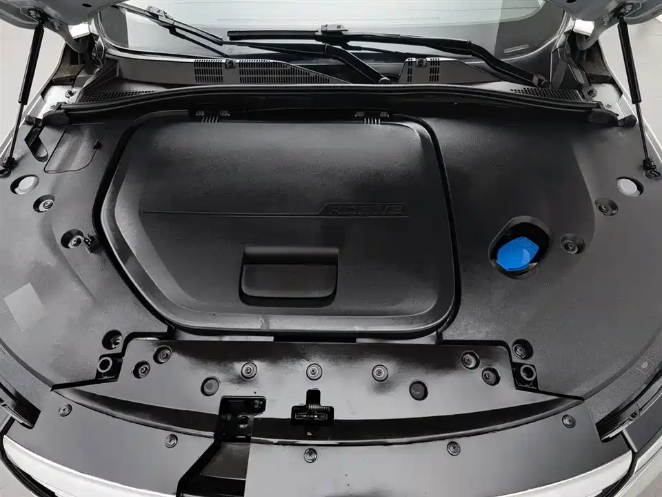 Roewe RX5 New energy