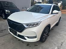 ����ŷ��X7 2021�� 1.5T �Զ��캽��