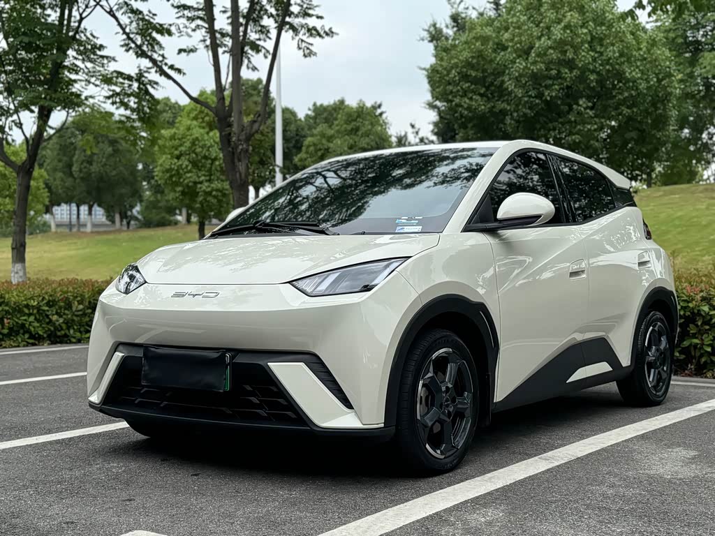 BYD Seagull