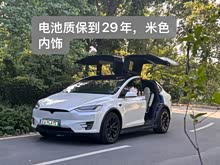 Model X 2019 