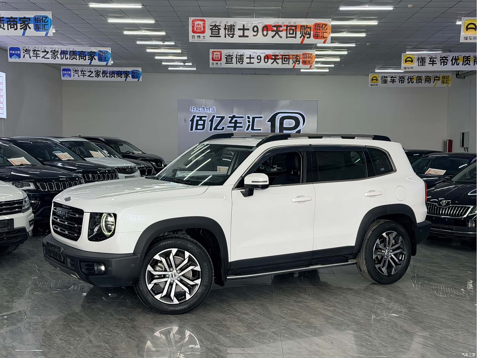 Haval Big Dog