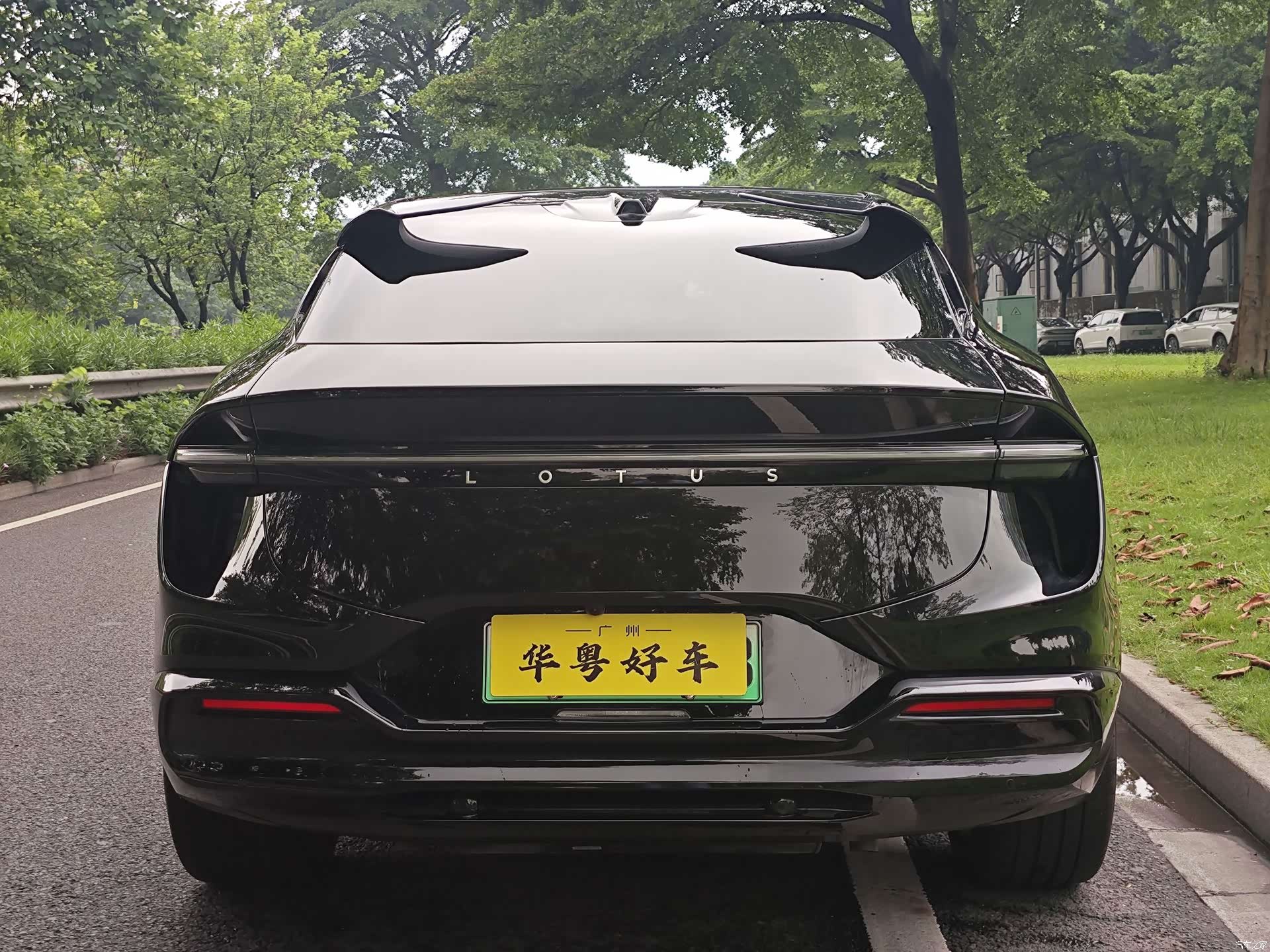 Lotus FOR, 2026 3
