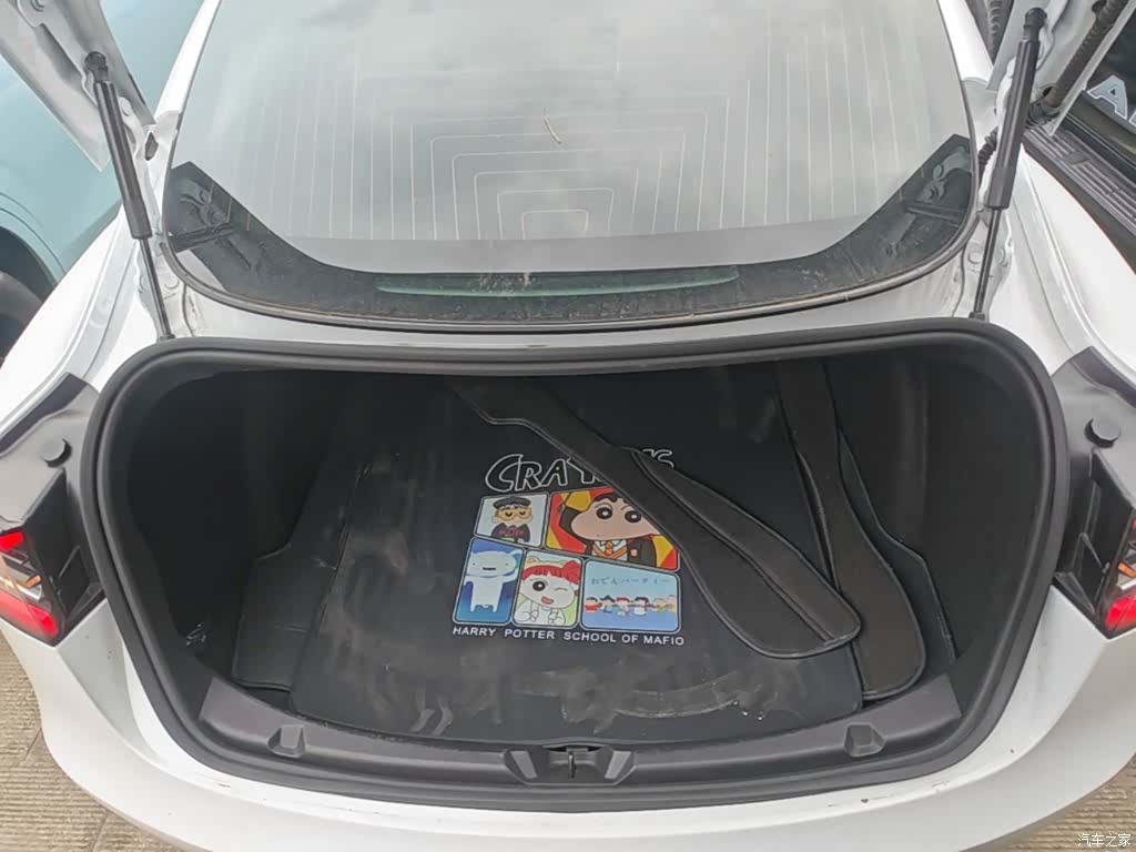 Tesla Model 3, 2020 19