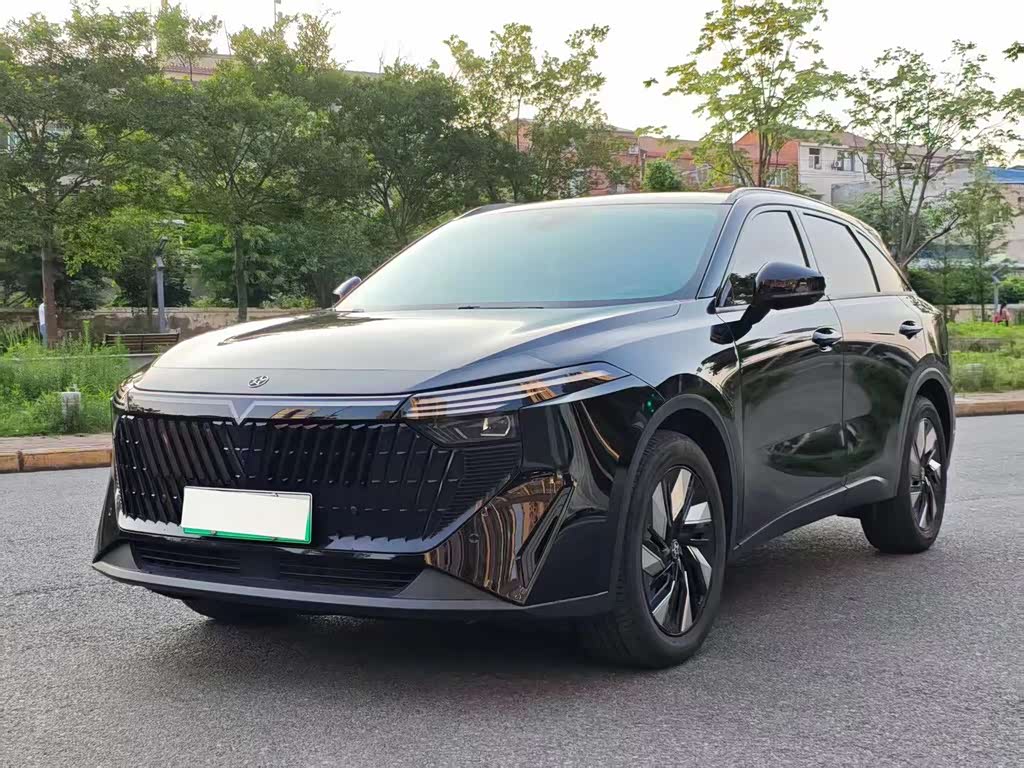 Venucia V DD-i