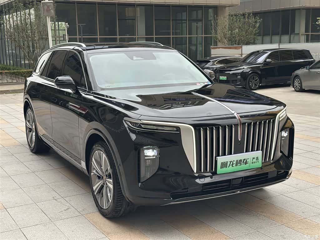 Hongqi E-HS9, 2023 все фото