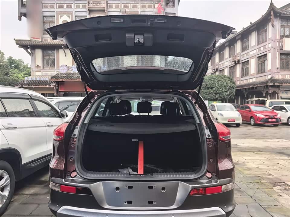 Leopaard Cheetah CS10