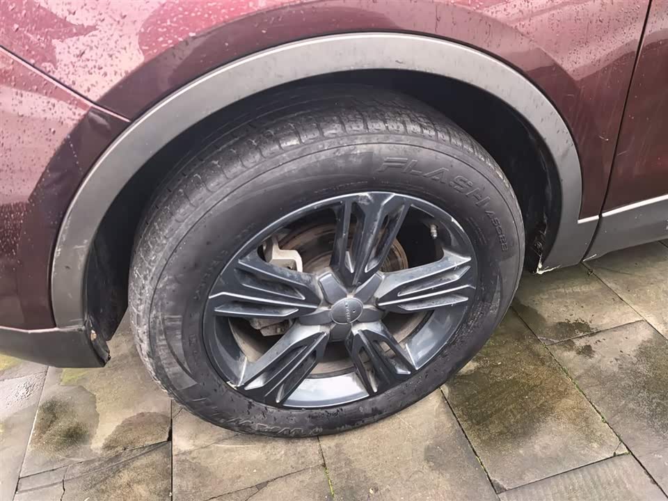 Leopaard Cheetah CS10