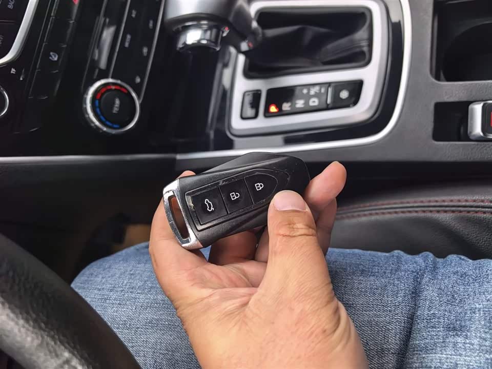 Leopaard Cheetah CS10