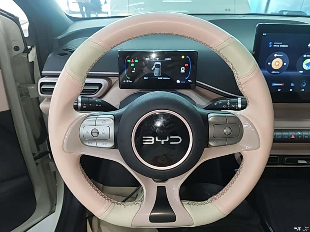 BYD Seagull, 2025 11