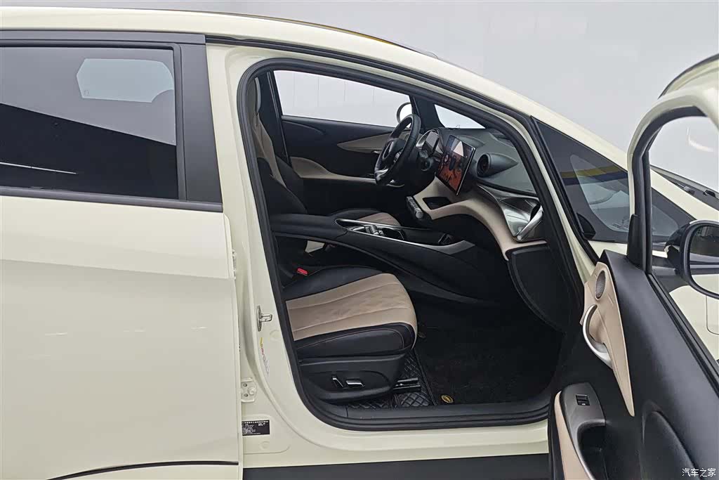 BYD Dolphin, 2023 8