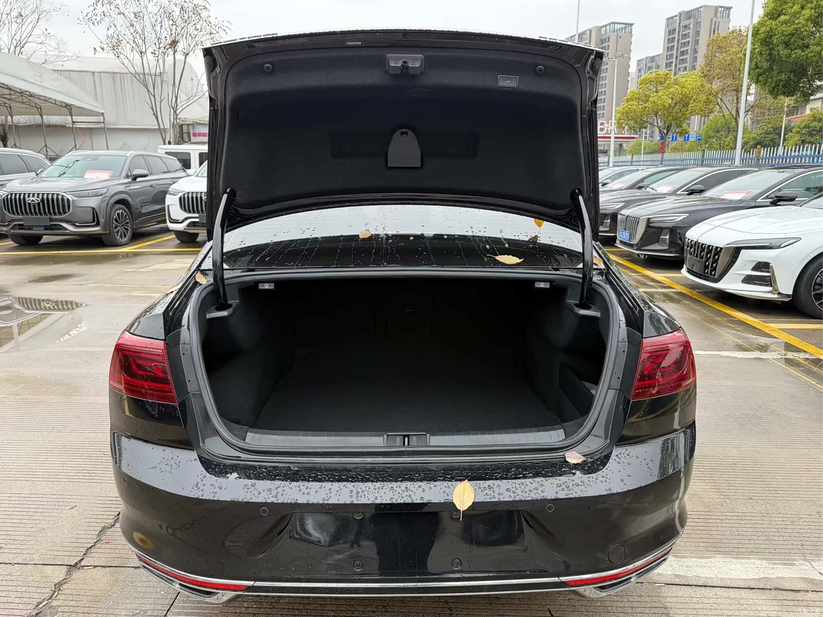 Volkswagen Magotan, 2023 8