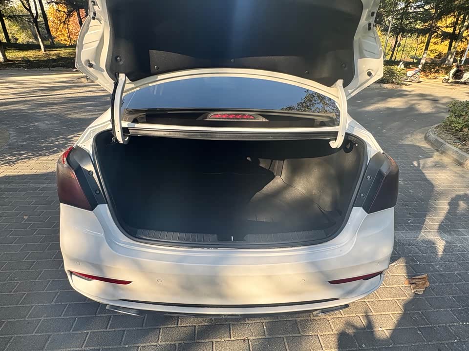 Hyundai Name picture