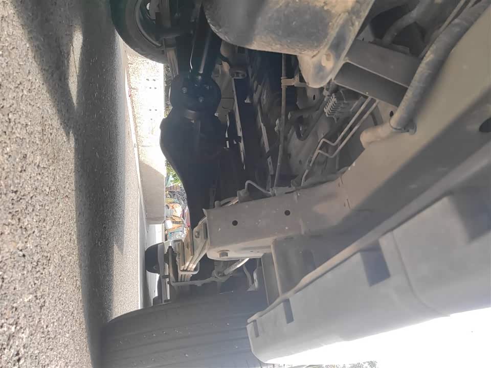 Jinbei Golden Sea Lion Classic