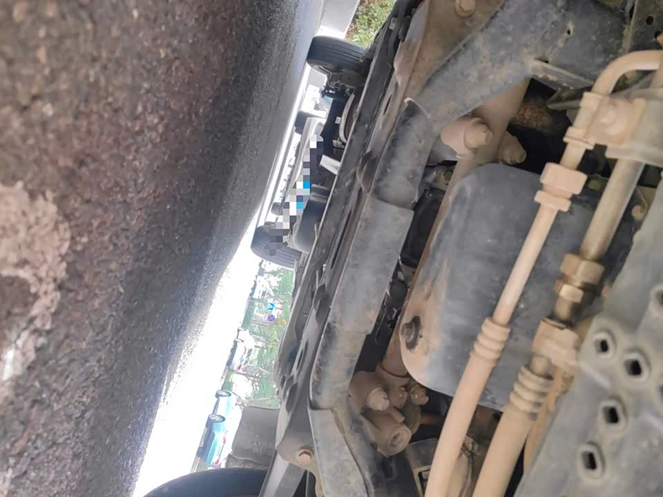 Jinbei Golden Sea Lion Classic