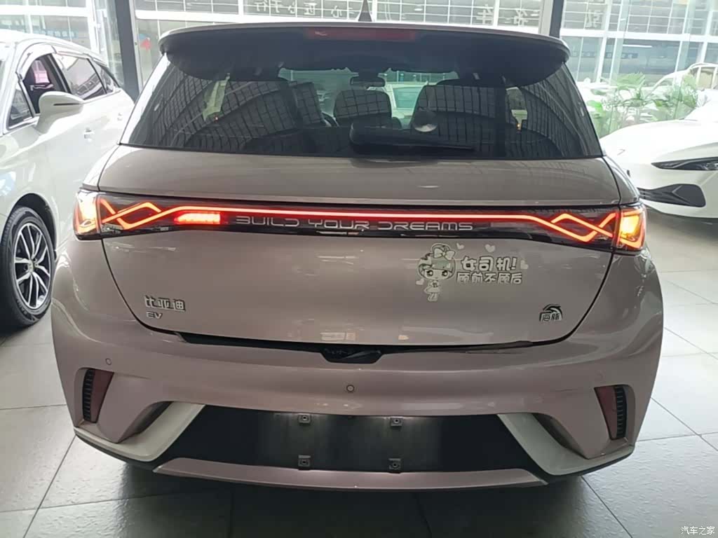 BYD Dolphin, 2024 6
