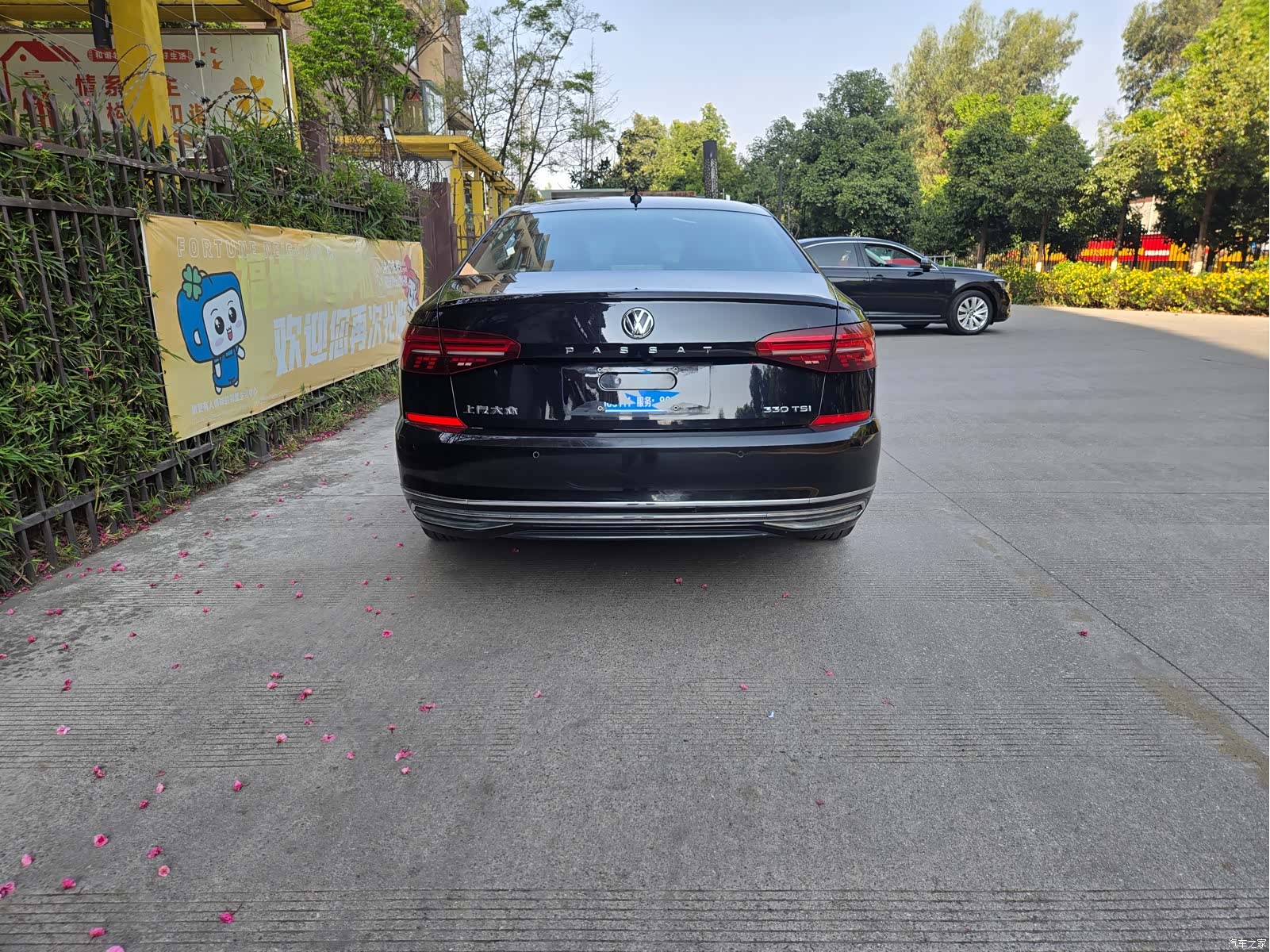 Volkswagen Passat, 2021 11