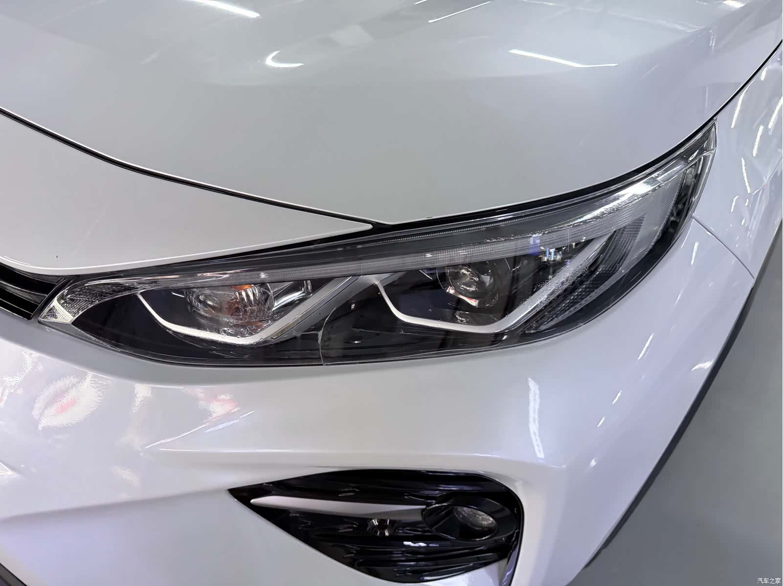 WeiLanDa Wildlander, 2023 4