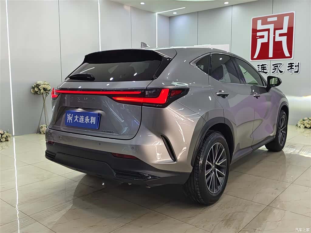 Lexus NX, 2023 16