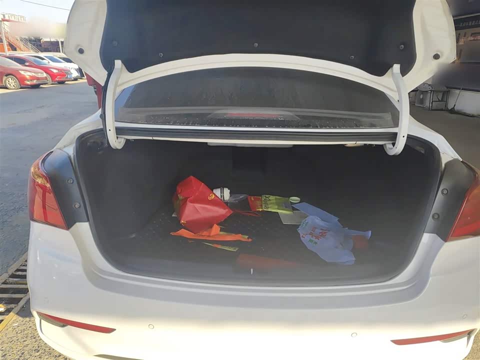 Hyundai Name picture