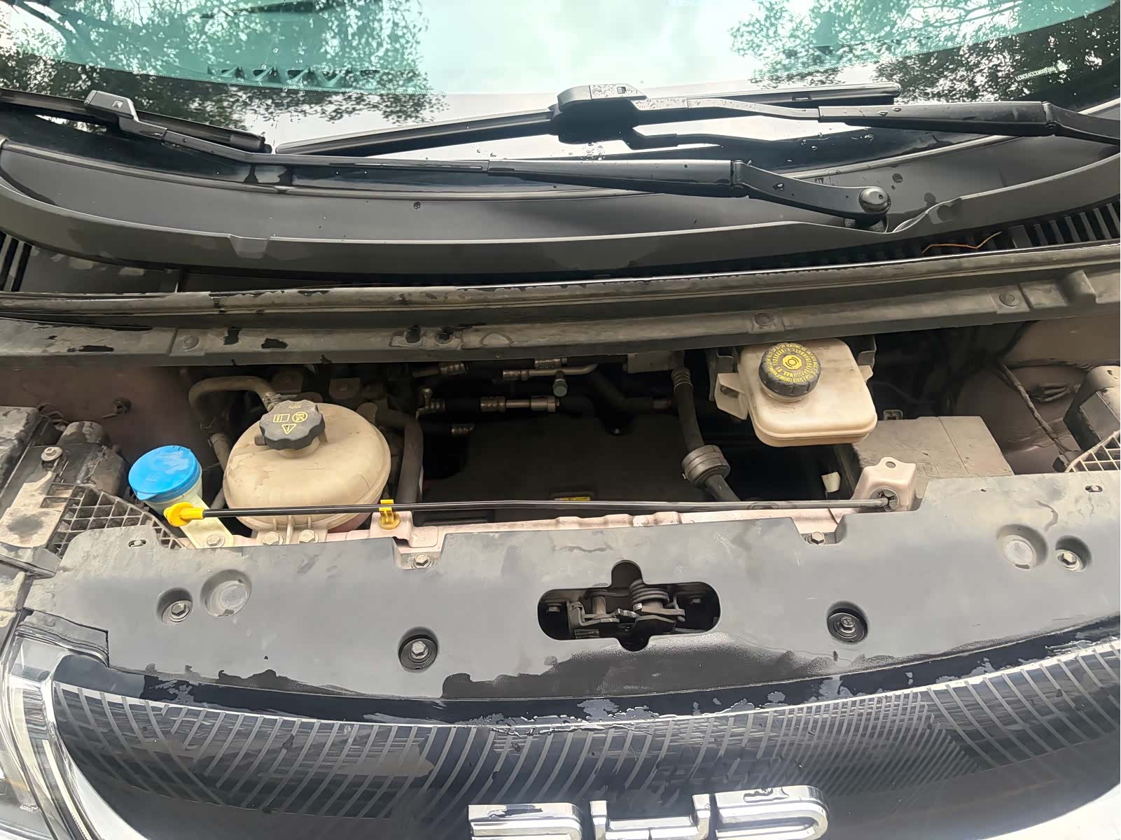 BYD Dolphin, 2021 19