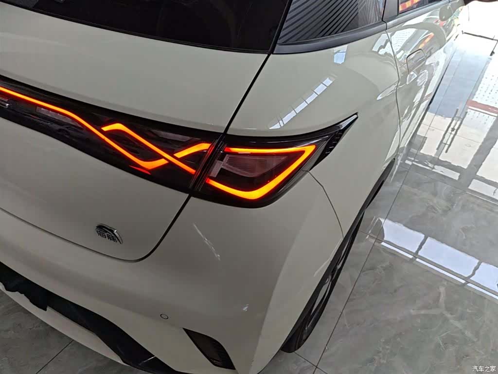BYD Dolphin, 2024 8
