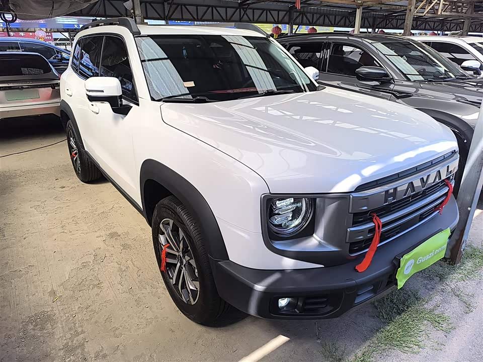 Haval Big dog