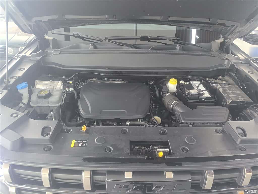 Haval Cool Dog, 2022 16