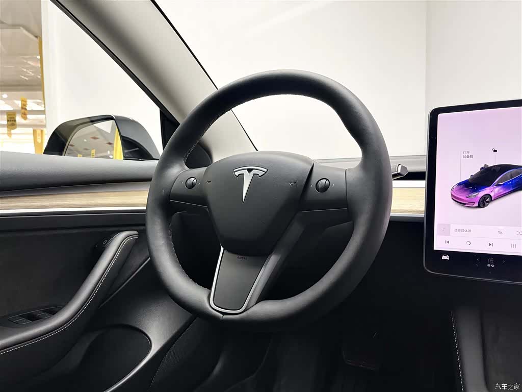 Tesla Model 3, 2021 12
