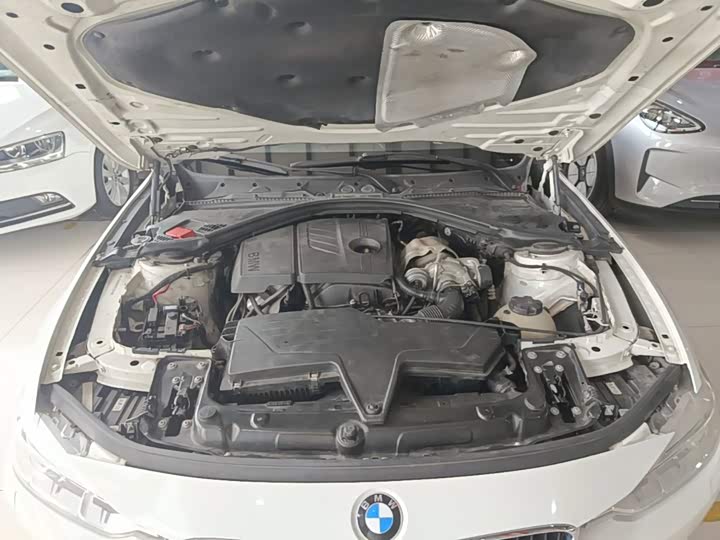 BMW 3 Series 2015 316Li Style