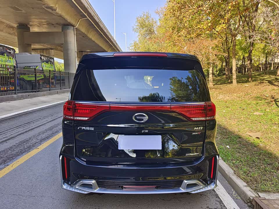 Trumpchi Trumpchi M8